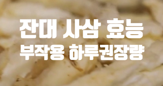  해독 천식에 좋은 잔대 사삼 효능 (ft. 부작용 하루 섭취 권장량) 뿌리 무침 전 나물 밥 만들기