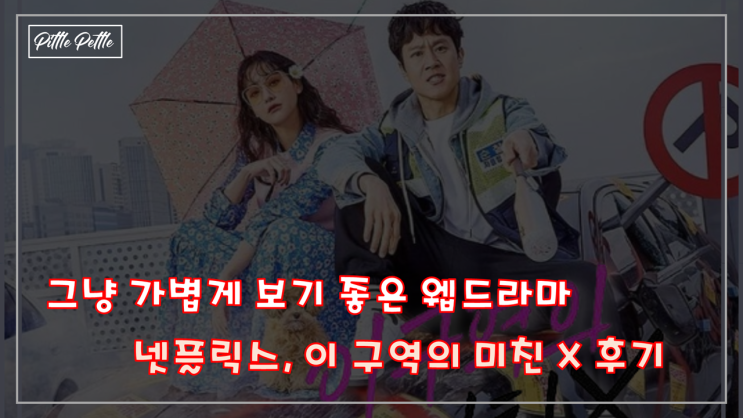  [그냥 가볍게 보기 좋은 웹드라마 추천] 이 구역의 미친 X 후기 (욕 쓴거 아니고, 진짜 제목이 X)