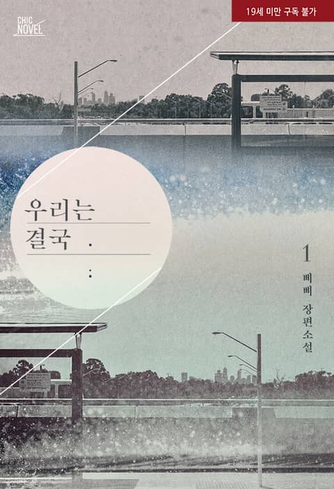 BL소설 리뷰) 삐삐-우리는 결국 BL소설 리뷰) 삐삐-우리는 결국