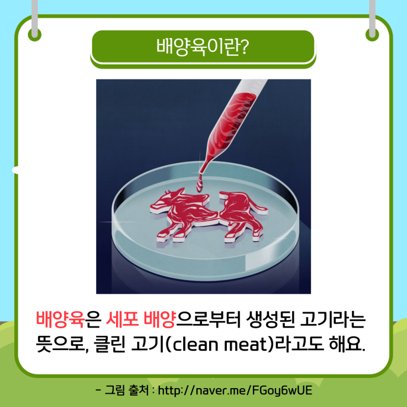 [신소재식품 서포터즈] 세포로 만든 고기? - 배양육 알아보기 : 네이버 블로그