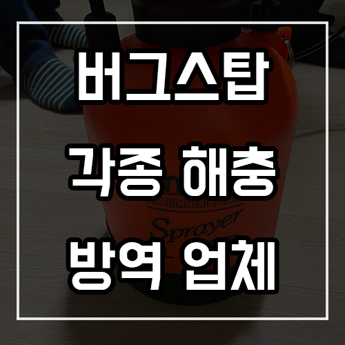 해충방역업체 버그스탑 방문 후기 해충방역업체 버그스탑 방문 후기