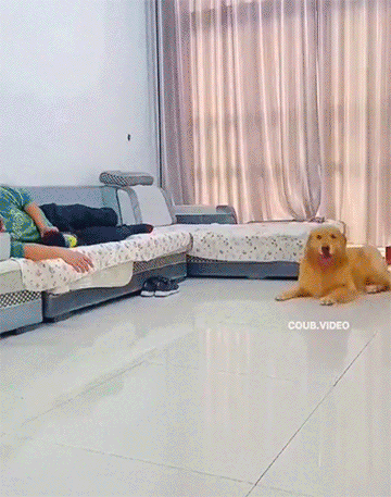  즐건 일요일 되세요~~