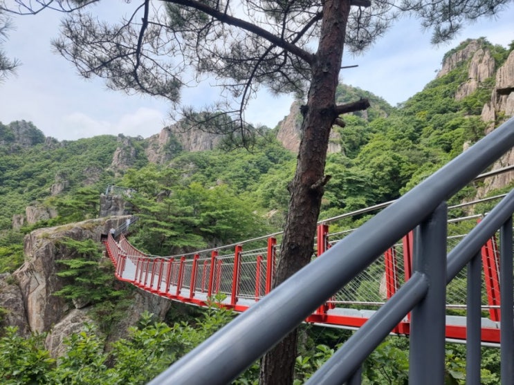  대전근처가볼만한곳 대둔산 케이블카 금강구름다리!!