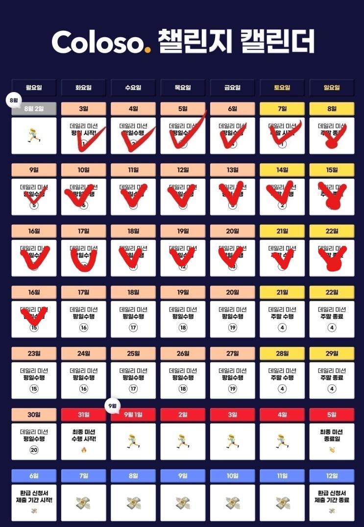  콜로소 챌린지 15일차