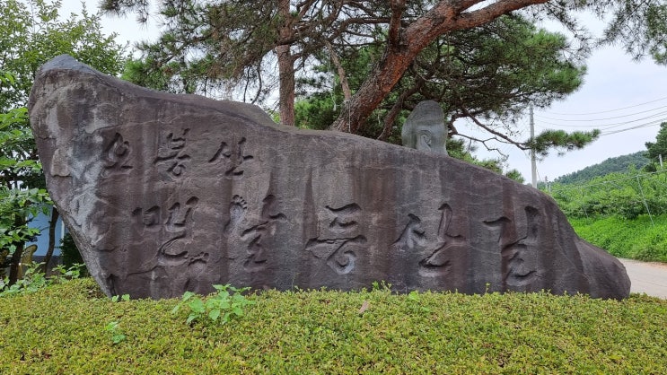  당일 여행 추천/ 세종 가볼만한곳/ 오봉산 맨발등산길 봉산동 향나무 연화사