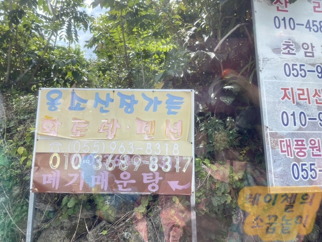 청산별곡캠핑장 사진 3