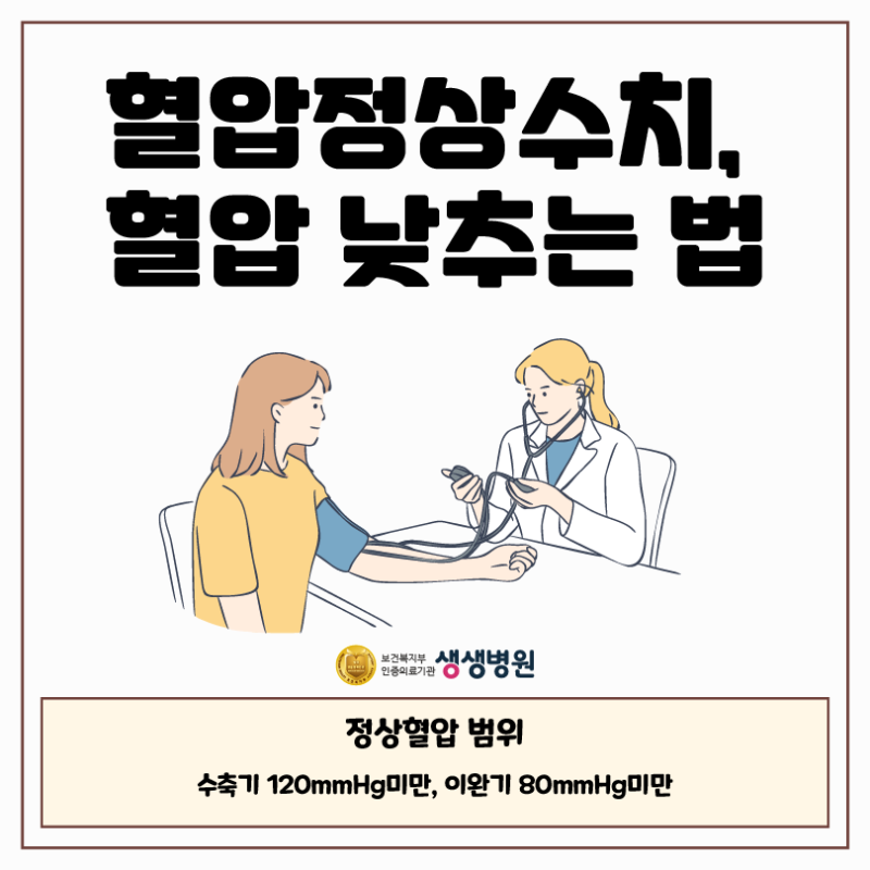 혈압 높을때 증상 성인 정상 혈압 수치 고혈압 낮추는법
