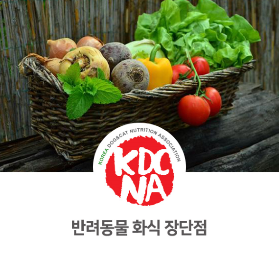 강아지 고양이 화식 장단점 [펫푸드자격증/한국반려동물영양협회/정유경펫영양사/익산/대전/세종/청주/충주/애견자연식/수제간식재료/고양이자연식_845]