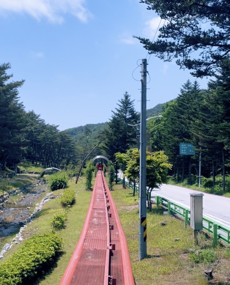 충북 보은 여행 / 가족들과 가볼만한 곳 "솔향공원 스카이바이크"