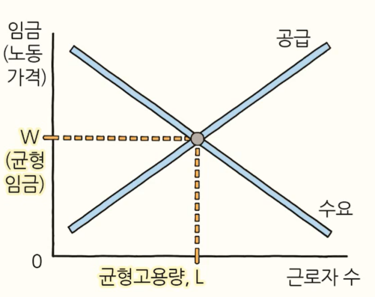  [경제공부][맨큐의 경제학] 소득분배의... - 생산소요시장(2) - 노동의 수요와 공급