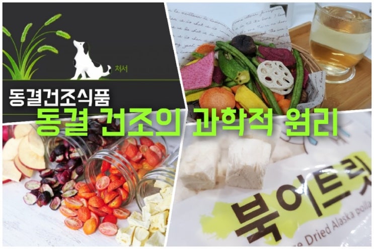  동결건조 식품의 신기한 과학적 원리