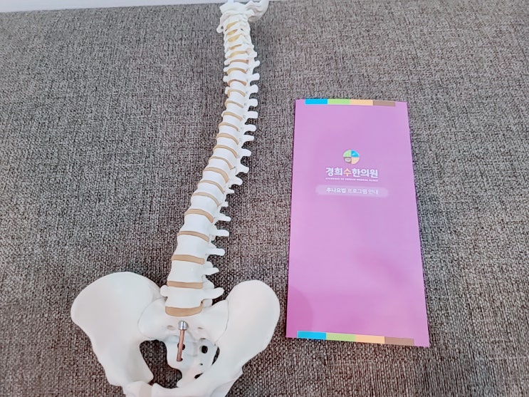 영통 추나요법, 한의원에서 편평등 치료 받으세요 영통 추나요법, 한의원에서 편평등 치료 받으세요