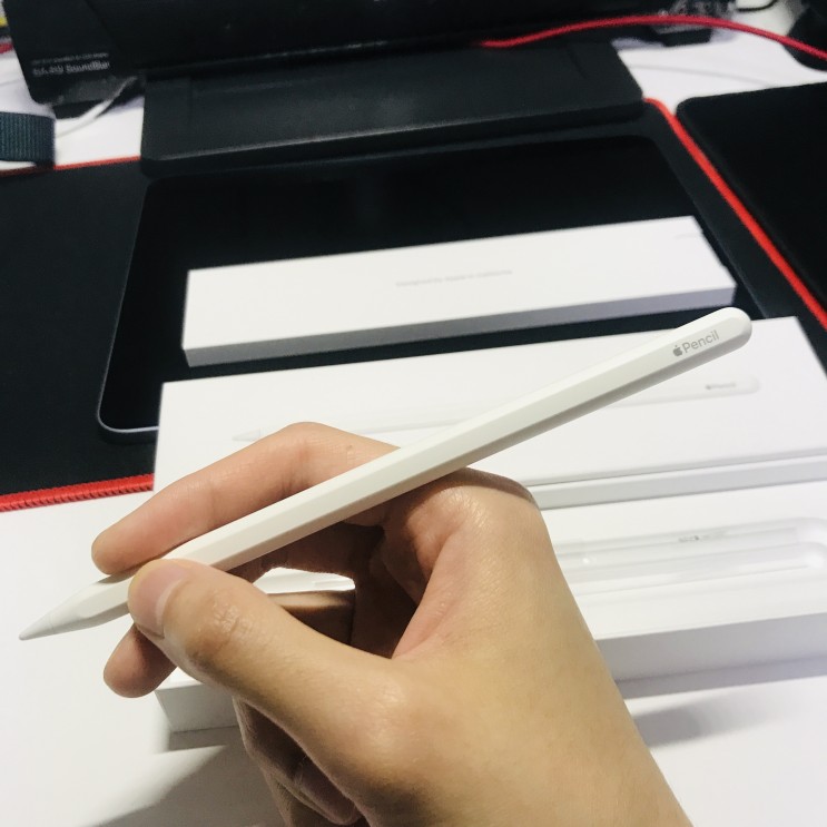[내 돈 내산] 쿠팡에서 애플 펜슬 2세대 구매후기 (Apple Pencil 2)
