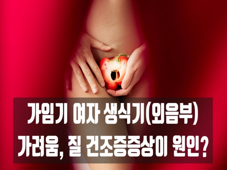  가임기 여자 생식기(외음부) 가려움, 질 건조증증상이 원인?