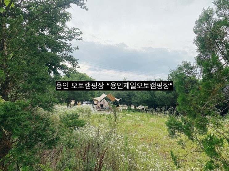  [캠핑] 서울근교 용인제일오토캠핑장(사이트 100개 이상 경기도 대형 오토캠핑장)