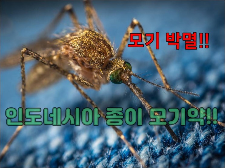  모기 박멸!!  인도네시아 신통방통한 종이 모기약 ! HIT-Magic