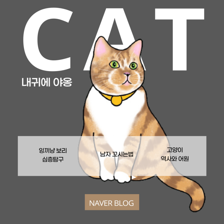  고양이 울음소리 종류와 다양한 감정들 이해해 보기