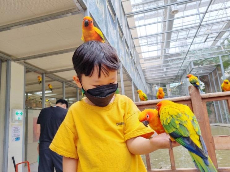  경주 아이와 비오는날 가볼만한곳 버드파크 동궁원 입장료