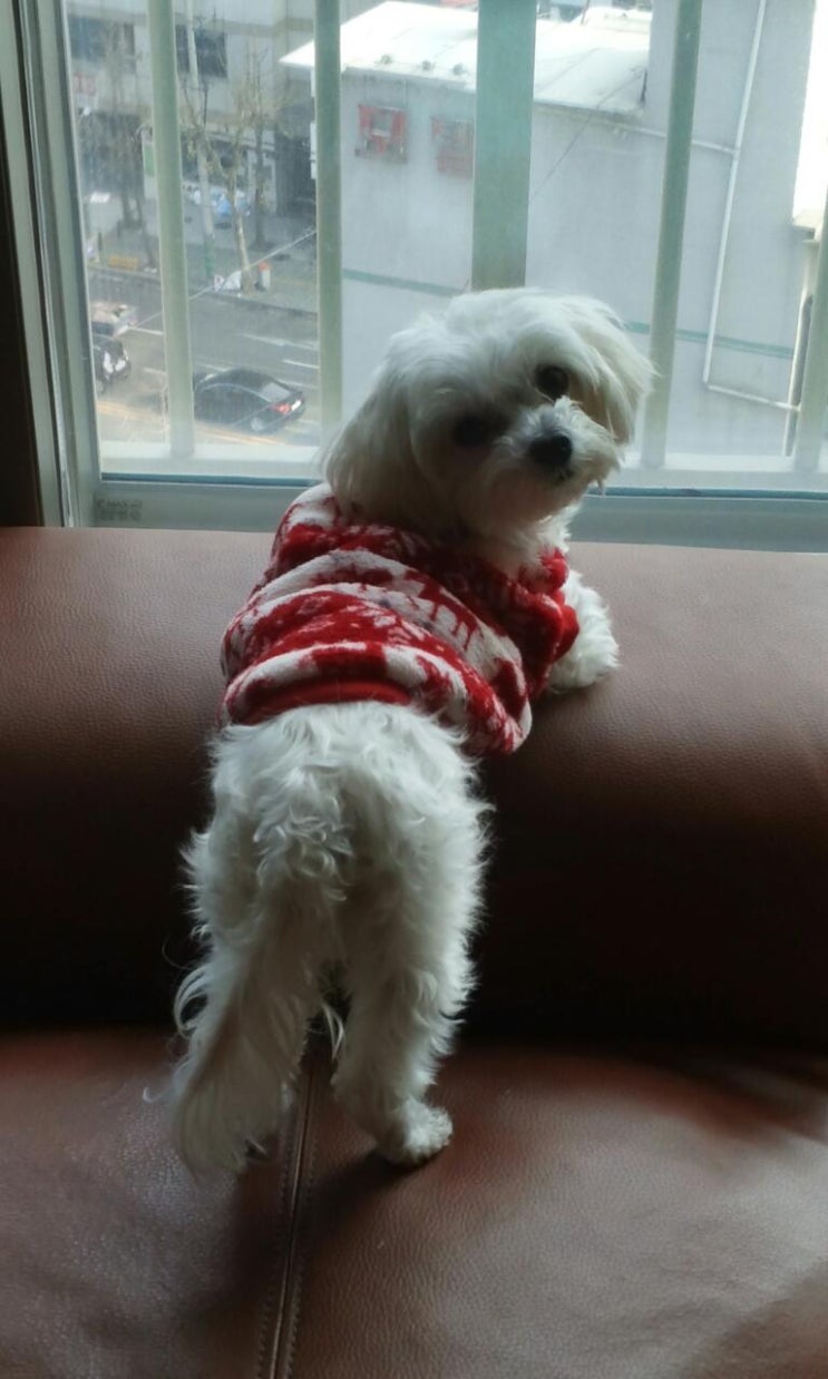  호두야~