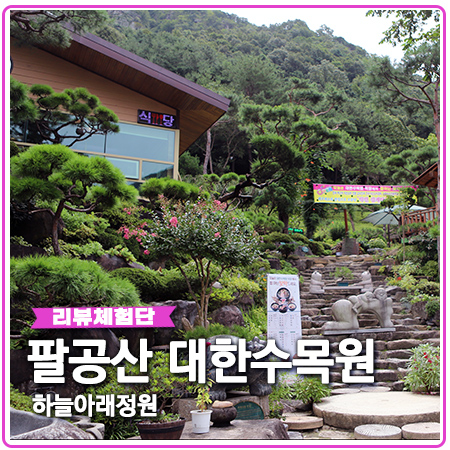 팔공산 대한수목원 약선삼계탕 전문 하늘아래낙원 팔공산 대한수목원 약선삼계탕 전문 하늘아래낙원