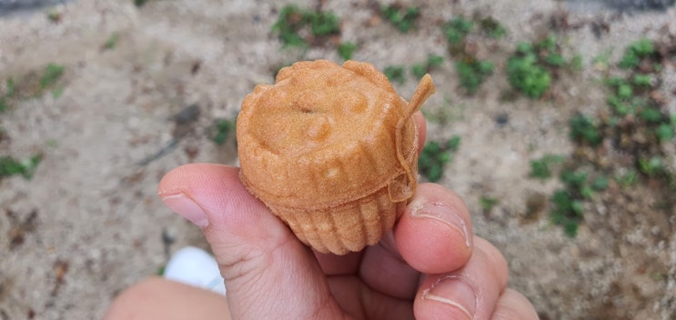  오늘도 쉽니다 