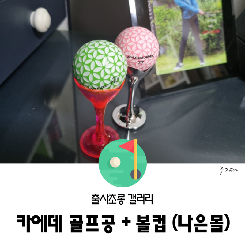 카에데골프공 + 볼컵 조합 예뻐요(칼라골프공)