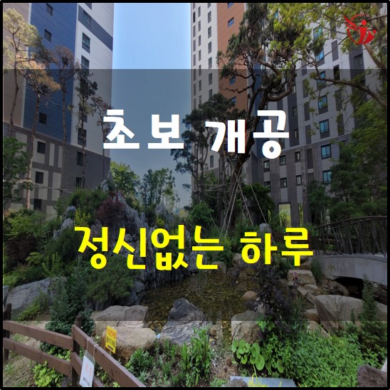  초보 개공의 정신없는 하루