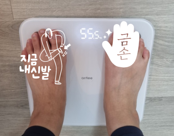 남편과 다이어트 30만원 내기!!! (feat. 결혼식 얼마 안남았다...)