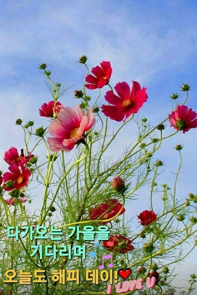  좋은인연 만드는 333법칙