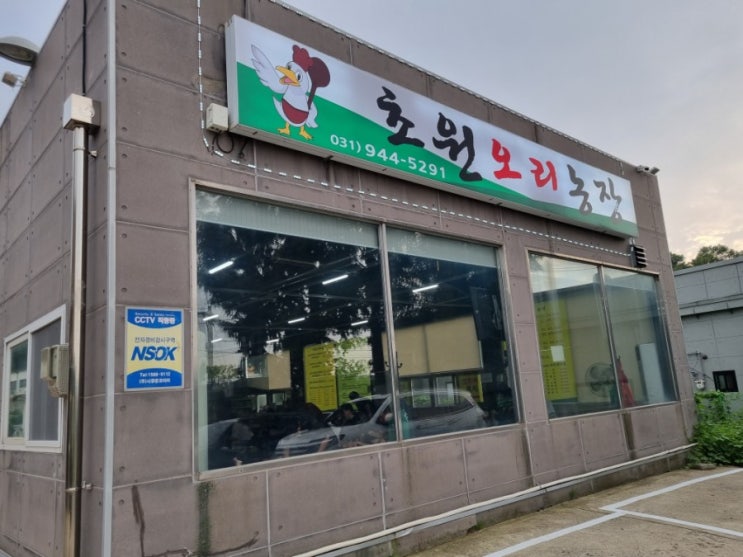  파주아울렛 근처 맛집 (초원오리농장)