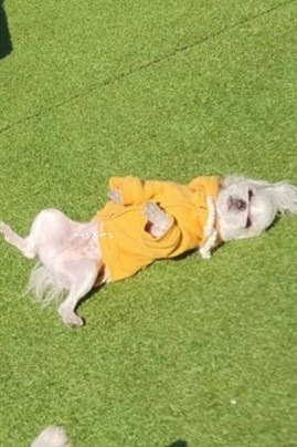  8/23 비도 오고 그래서~