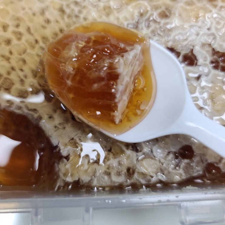  벌집꿀 꿀답례품 명절선물로 아주 좋아요!