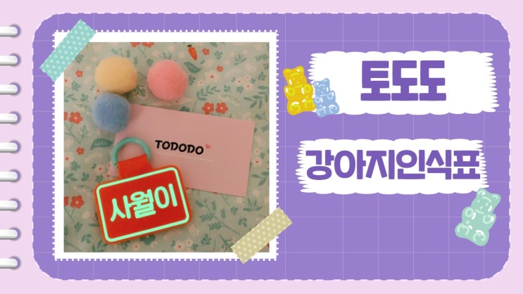 강아지인식표. 토도도 야광 이름표 추천, 야간산책필수템 강아지인식표. 토도도 야광 이름표 추천, 야간산책필수템