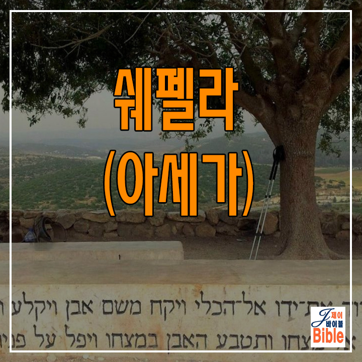  이스라엘 쉐펠라 다윗과 골리앗이 싸운 엘라 골짜기를 내려다 보는 아세가 언덕 (Tel Azeka)