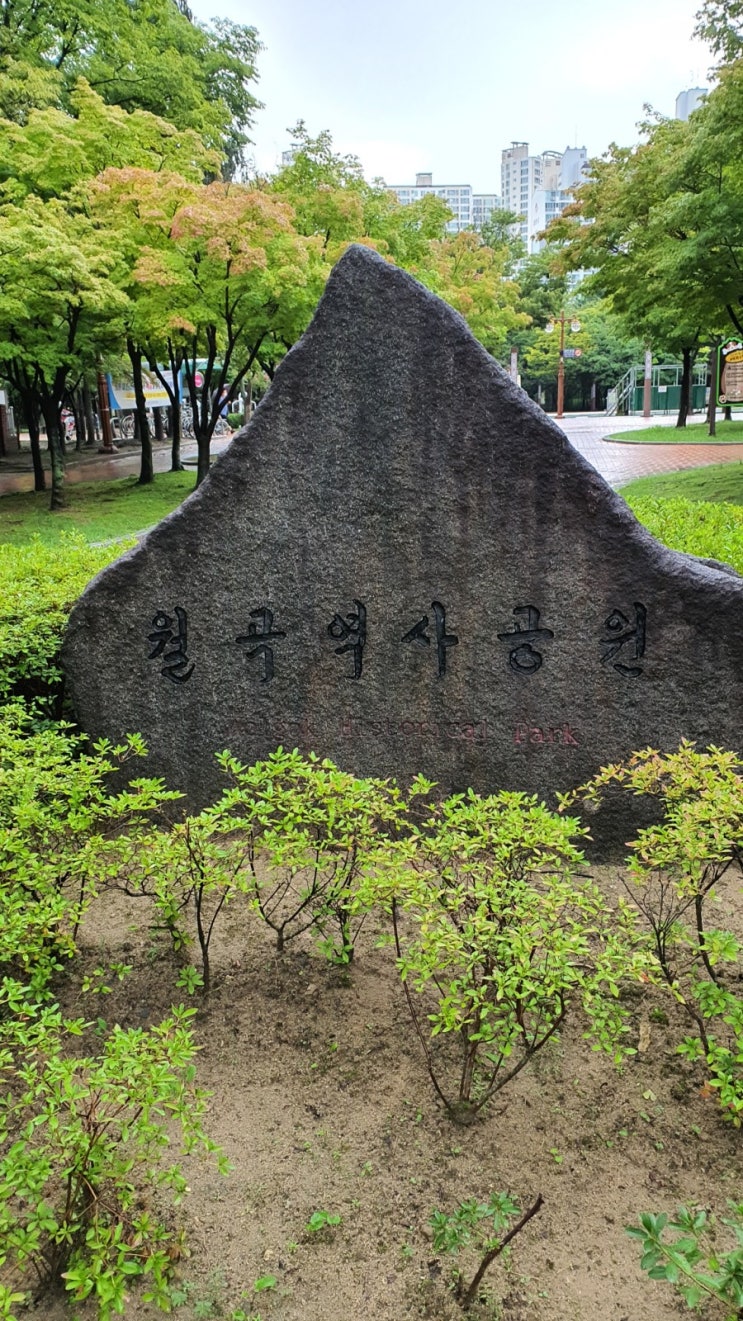  대구 콕콕!  도심 속에    월곡 역사공원에 가다