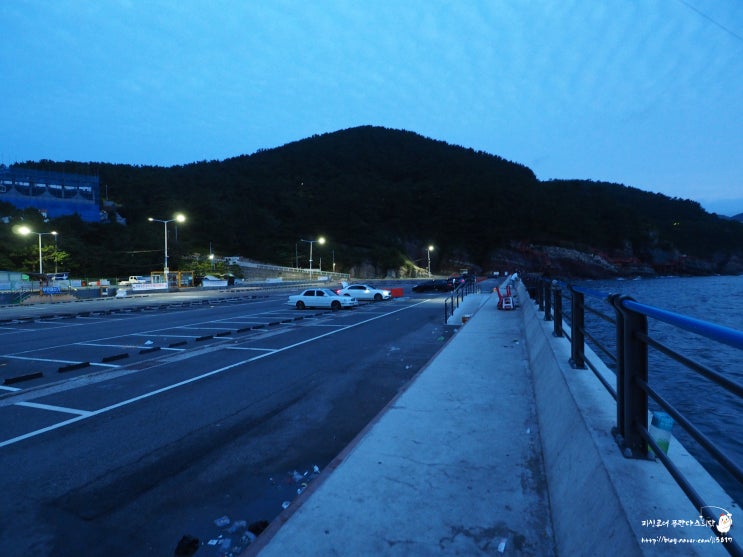  새벽 피딩 부산 암남공원 낚시 태풍 오마이스 간접영향?