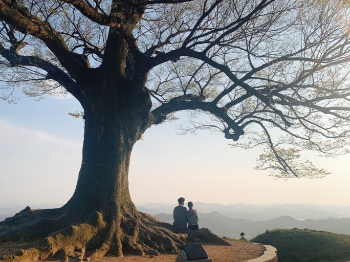 나무같은 사랑 / 정연복