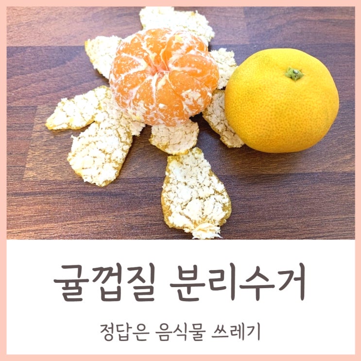  귤껍질 분리수거 정답은 음식물 쓰레기