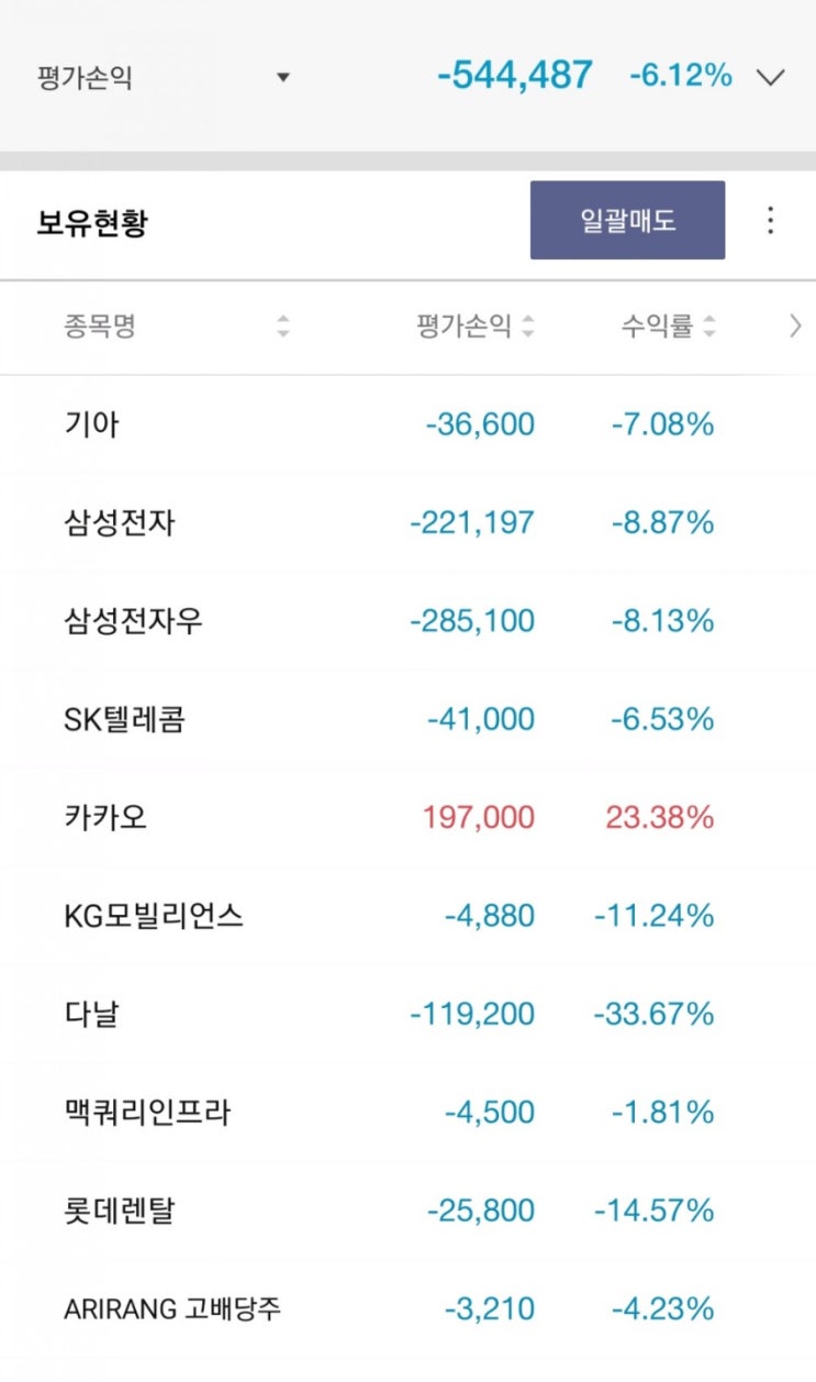  국내 주식 투자 현황