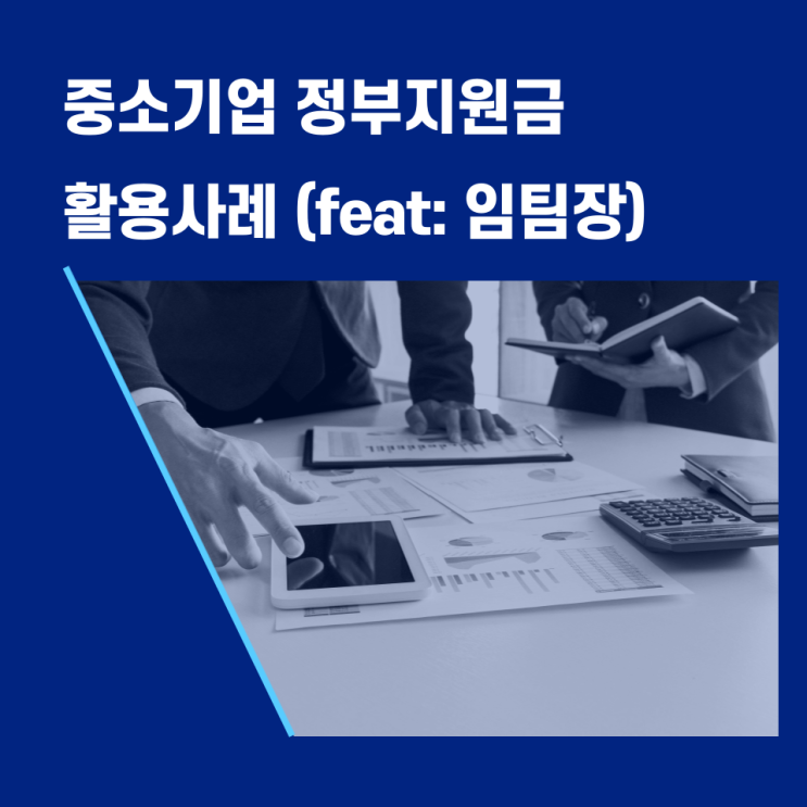  중소기업 정부지원금(고용지원금) 활용 사례