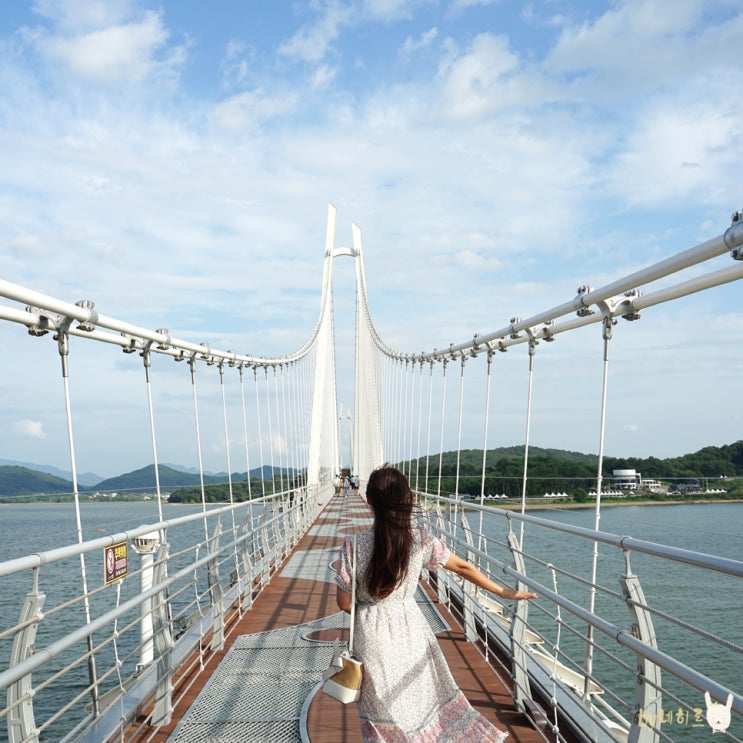  논산 탑정호 출렁다리 경치 좋은 곳