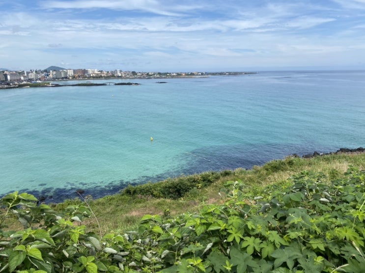  [제주도 여행] 21.07.10-13 세자매 제주도 동쪽 여행 ️DAY.4  함덕해수욕장, 서우봉, 애월 카페 엘리사, 카페가호