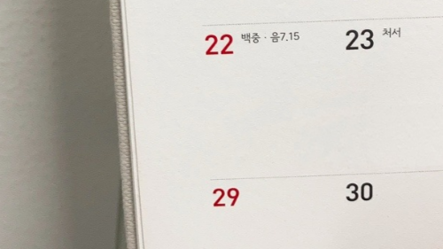  프리범 일상 8월23일(월) 모둠전에 막걸리가 땡기는 날