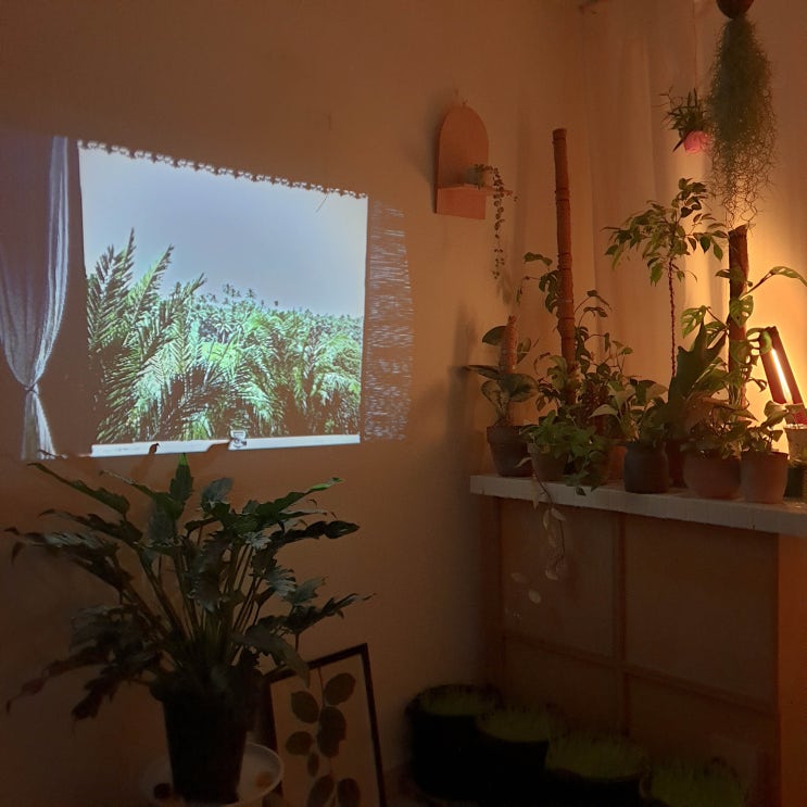 고요한 밤...끼룩한 밤...