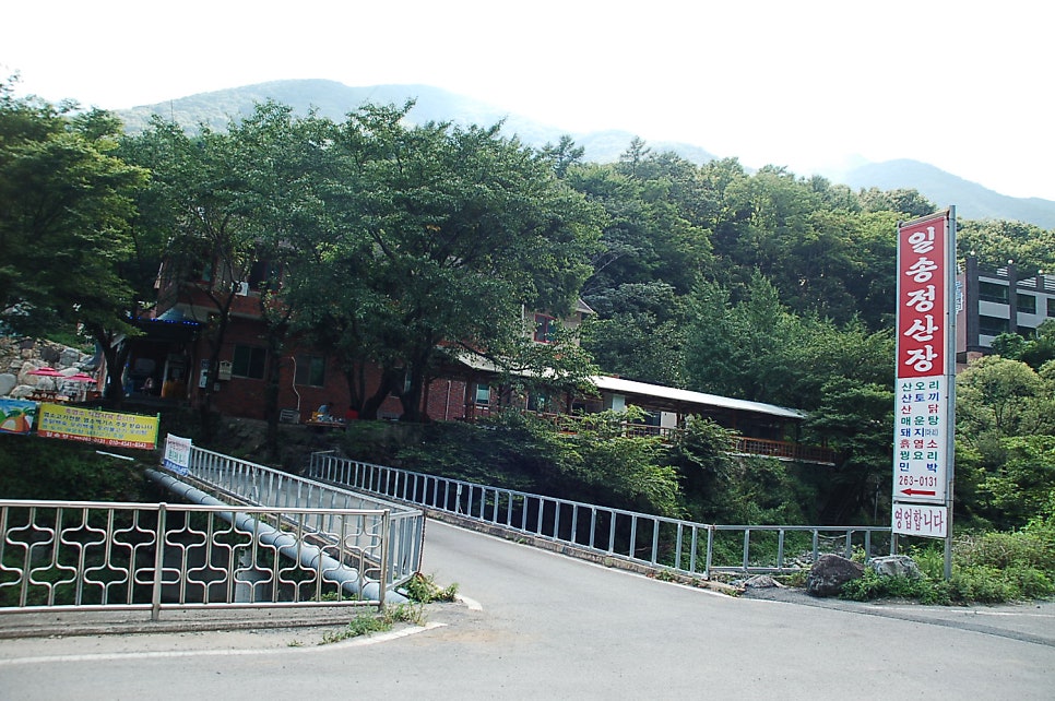 일송정산장 사진 1