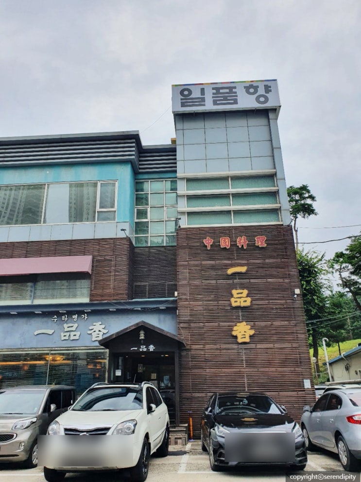  용인 수타면 맛집 일품향