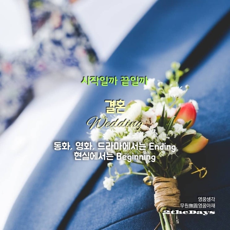  결혼환상곡, 행복일까?
