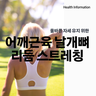  어깨근육 날개뼈 통증개선 스트레칭