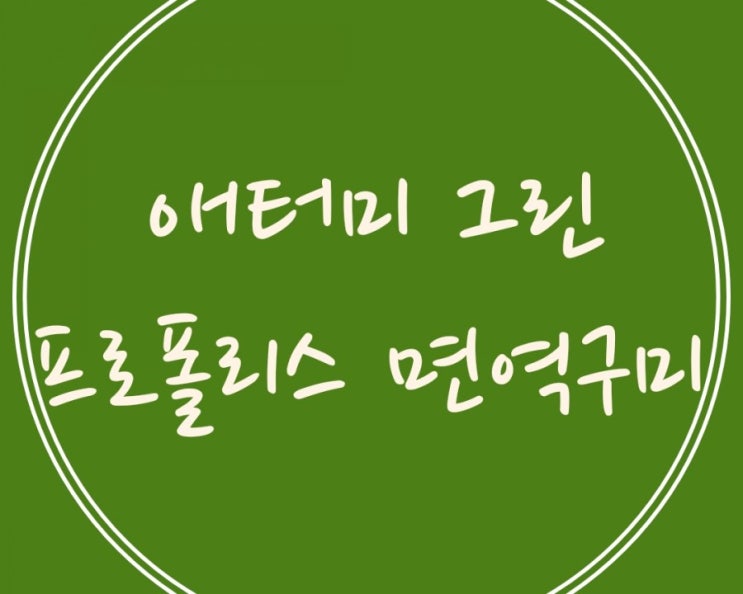  입안 건강과 면역을 동시에..애터미 그린 프로폴리스 면역구미