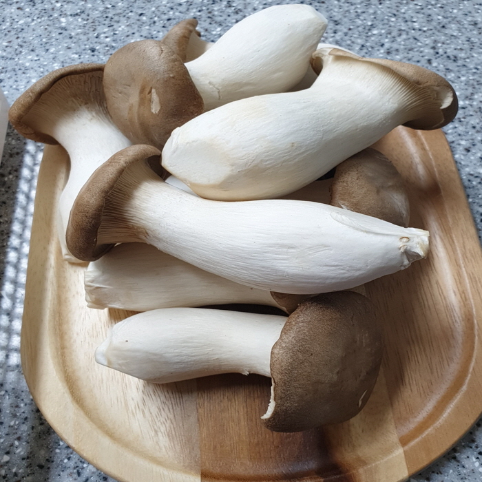  자연산송이버섯 대체 새송이버섯 영양성분 장점과 손질법 특징 어떻게 될까요?